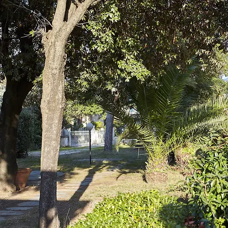 Mirage Hotel Marina di Pietrasanta